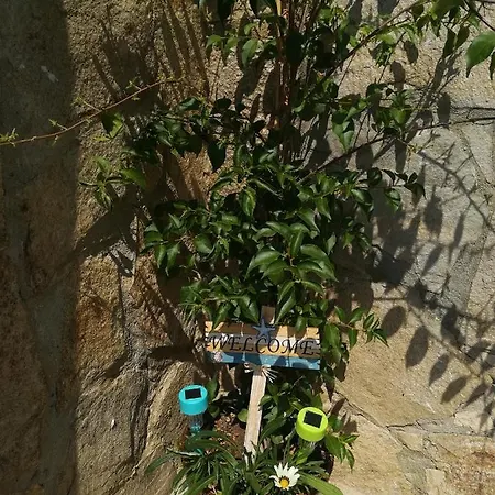Holly Guest house Balchik