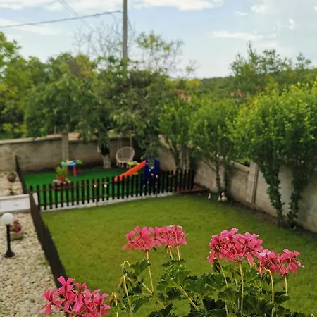 Holly Guest house