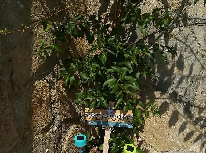 Holly Guest house Balchik